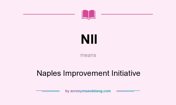 What does NII mean? It stands for Naples Improvement Initiative