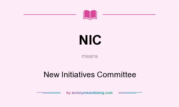 What does NIC mean? It stands for New Initiatives Committee