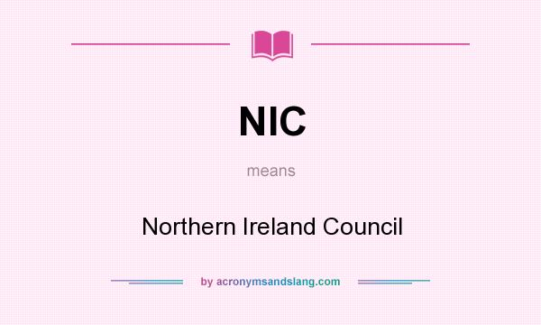What does NIC mean? It stands for Northern Ireland Council