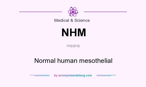 What does NHM mean? It stands for Normal human mesothelial