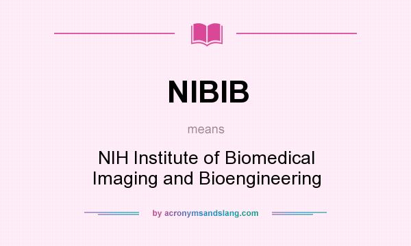 What does NIBIB mean? It stands for NIH Institute of Biomedical Imaging and Bioengineering