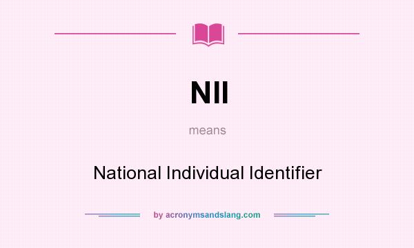 What does NII mean? It stands for National Individual Identifier