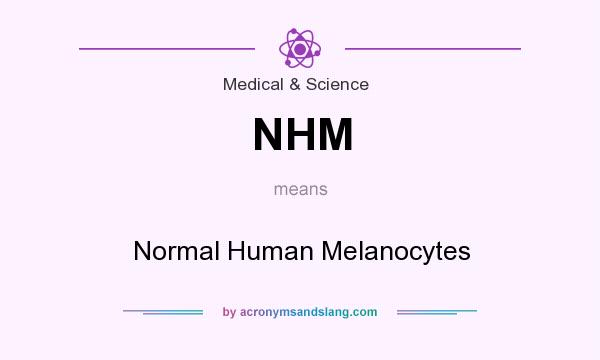 What does NHM mean? It stands for Normal Human Melanocytes