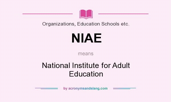 What does NIAE mean? It stands for National Institute for Adult Education
