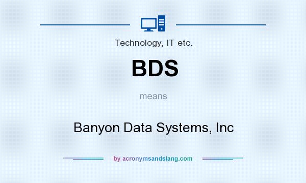 What does BDS mean? It stands for Banyon Data Systems, Inc