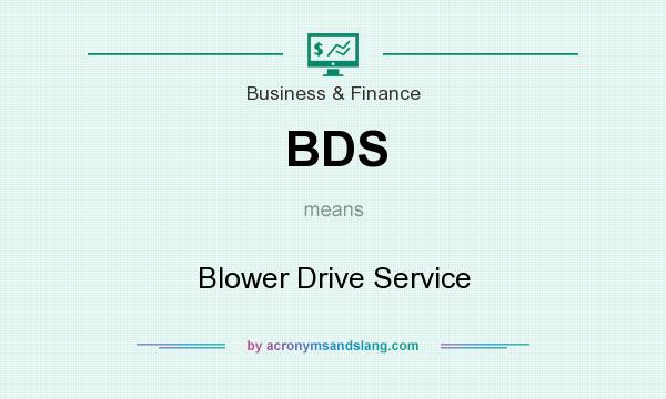What does BDS mean? It stands for Blower Drive Service