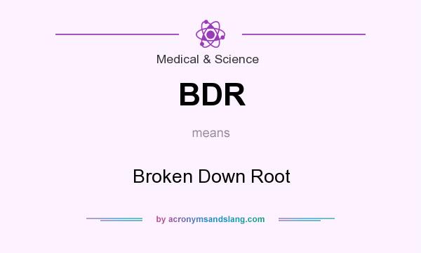 What does BDR mean? It stands for Broken Down Root