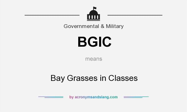 What does BGIC mean? It stands for Bay Grasses in Classes