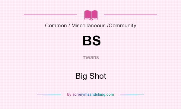 What does BS mean? It stands for Big Shot