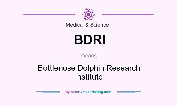 What does BDRI mean? It stands for Bottlenose Dolphin Research Institute