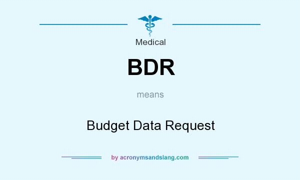 What does BDR mean? It stands for Budget Data Request