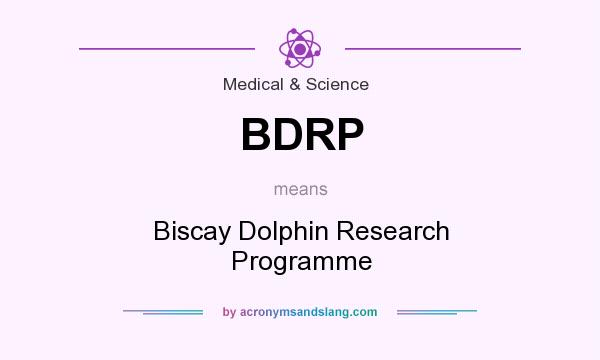What does BDRP mean? It stands for Biscay Dolphin Research Programme