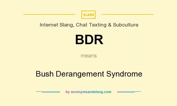 What does BDR mean? It stands for Bush Derangement Syndrome