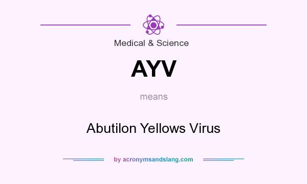 What does AYV mean? It stands for Abutilon Yellows Virus