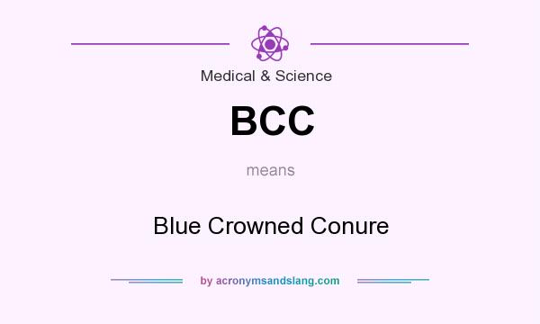 What does BCC mean? It stands for Blue Crowned Conure