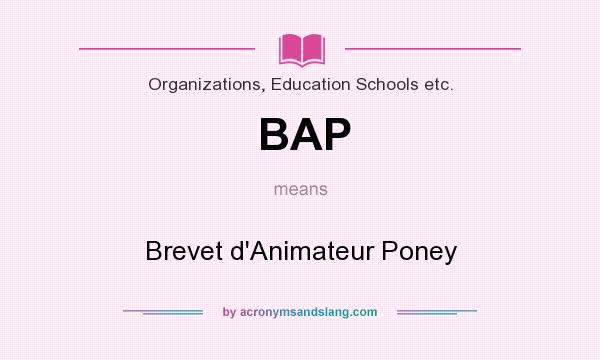 What does BAP mean? It stands for Brevet d`Animateur Poney