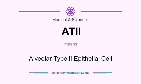 What does ATII mean? It stands for Alveolar Type II Epithelial Cell