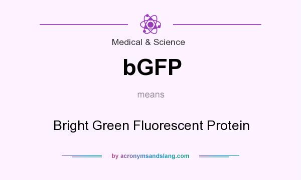 What does bGFP mean? It stands for Bright Green Fluorescent Protein