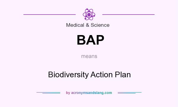 What does BAP mean? It stands for Biodiversity Action Plan