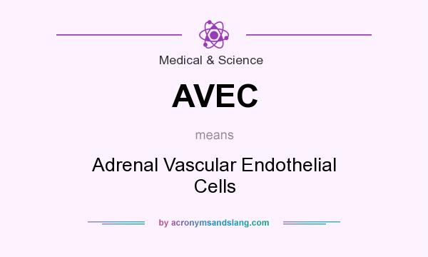 What does AVEC mean? It stands for Adrenal Vascular Endothelial Cells