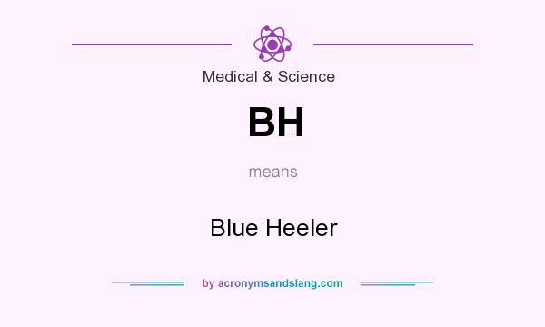 What does BH mean? It stands for Blue Heeler