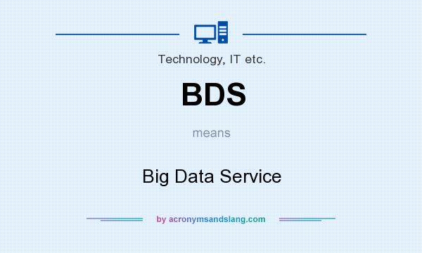 What does BDS mean? It stands for Big Data Service