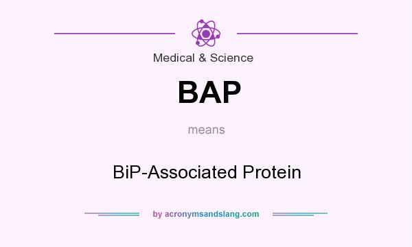 What does BAP mean? It stands for BiP-Associated Protein