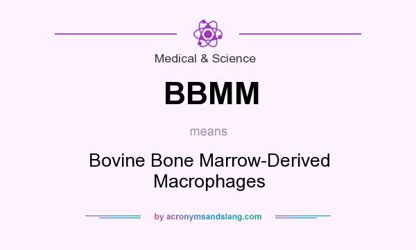 What does BBMM mean? It stands for Bovine Bone Marrow-Derived Macrophages