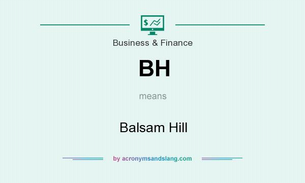 What does BH mean? It stands for Balsam Hill