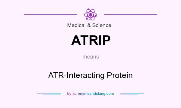 What does ATRIP mean? It stands for ATR-Interacting Protein