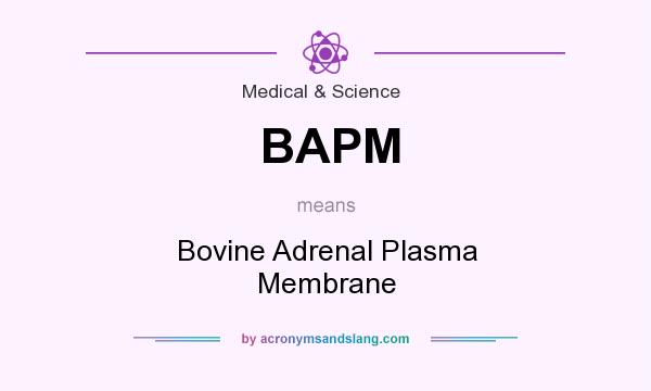 What does BAPM mean? It stands for Bovine Adrenal Plasma Membrane