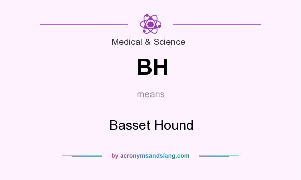 What does BH mean? It stands for Basset Hound