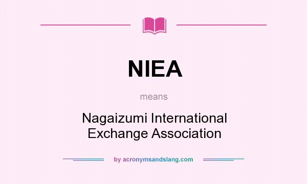 What does NIEA mean? It stands for Nagaizumi International Exchange Association