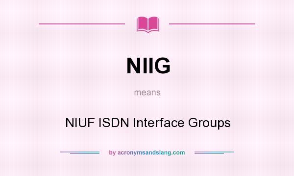 What does NIIG mean? It stands for NIUF ISDN Interface Groups