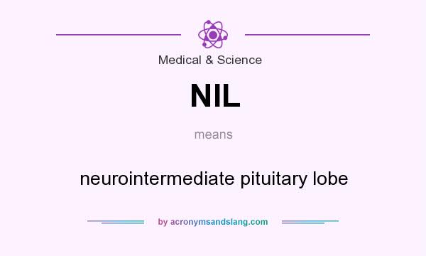 What does NIL mean? It stands for neurointermediate pituitary lobe
