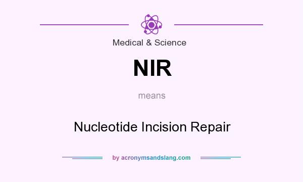 What does NIR mean? It stands for Nucleotide Incision Repair