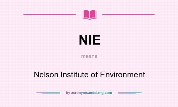 What does NIE mean? It stands for Nelson Institute of Environment