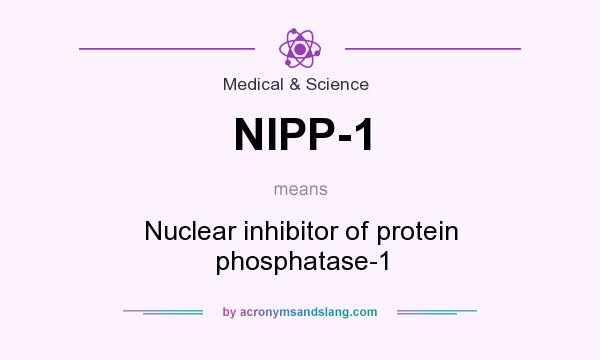 What does NIPP-1 mean? It stands for Nuclear inhibitor of protein phosphatase-1