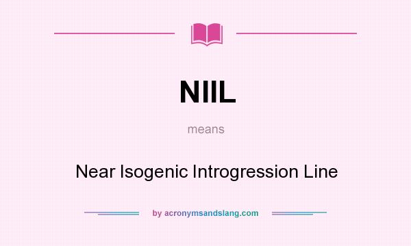 What does NIIL mean? It stands for Near Isogenic Introgression Line