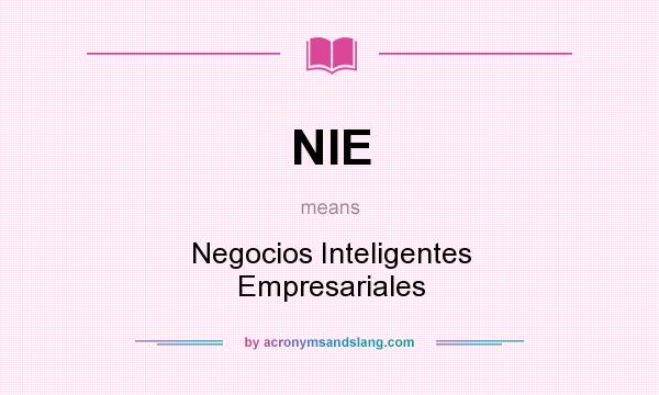 What does NIE mean? It stands for Negocios Inteligentes Empresariales