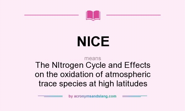What does NICE mean? It stands for The NItrogen Cycle and Effects on the oxidation of atmospheric trace species at high latitudes