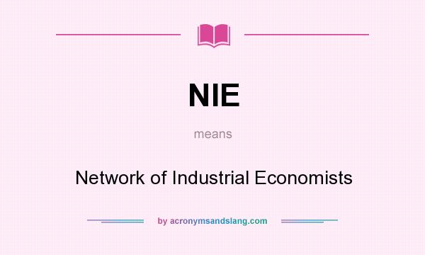 What does NIE mean? It stands for Network of Industrial Economists