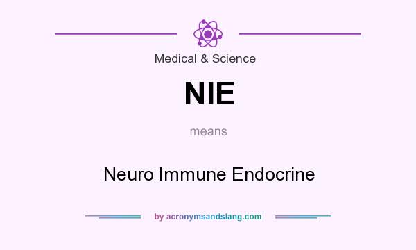What does NIE mean? It stands for Neuro Immune Endocrine