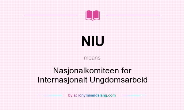 What does NIU mean? It stands for Nasjonalkomiteen for Internasjonalt Ungdomsarbeid