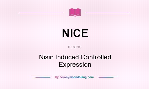 What does NICE mean? It stands for Nisin Induced Controlled Expression