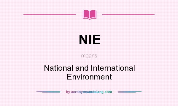 What does NIE mean? It stands for National and International Environment