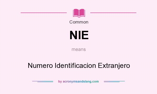 What does NIE mean? It stands for Numero Identificacion Extranjero