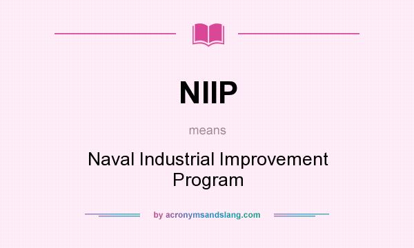 What does NIIP mean? It stands for Naval Industrial Improvement Program
