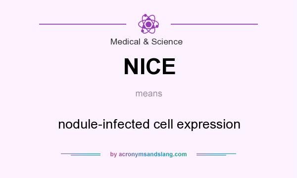 What does NICE mean? It stands for nodule-infected cell expression