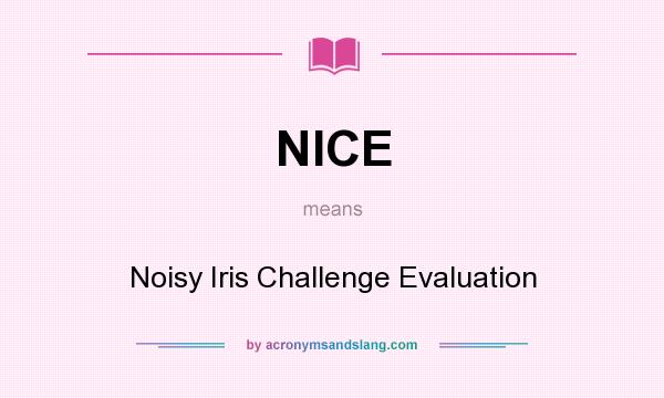 What does NICE mean? It stands for Noisy Iris Challenge Evaluation